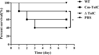 Effects of TolC on the pathogenicity of porcine extraintestinal pathogenic Escherichia coli